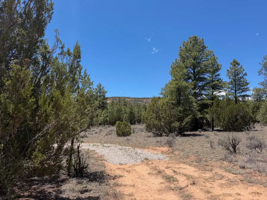 90 Cottonwood Drive, Ramah, NM 87321 - #3