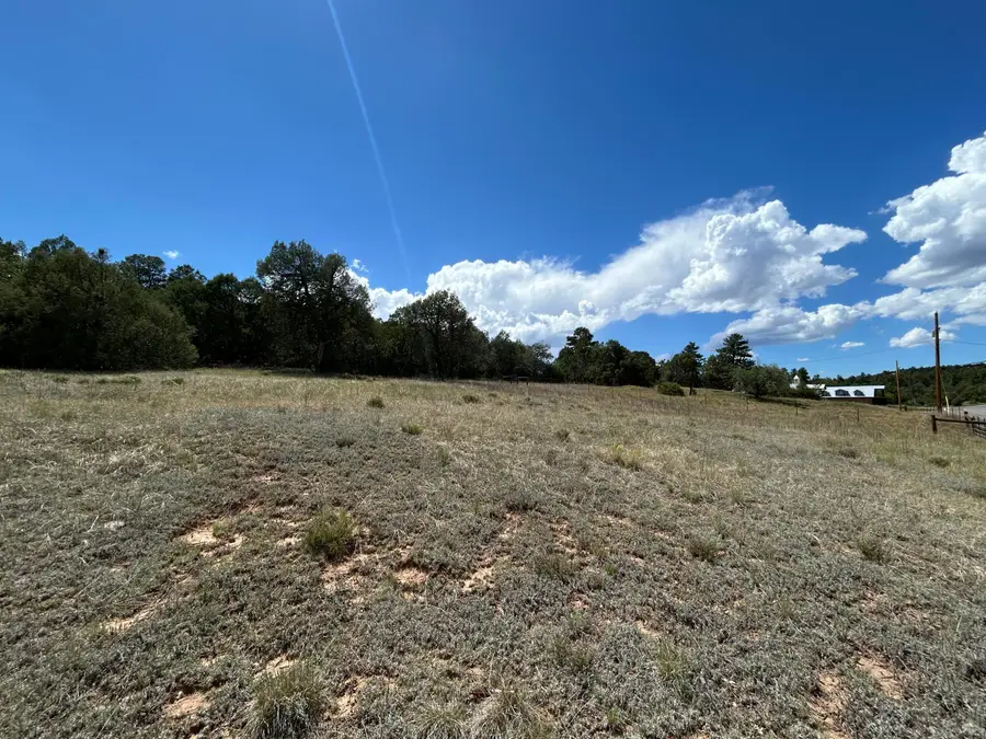 10347 Nm 337, Tijeras, NM 87059 - #2