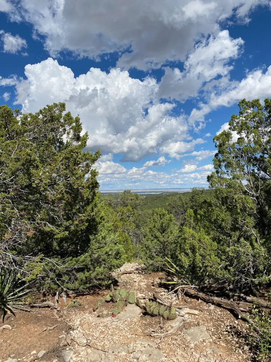5 Mormon Road, Edgewood, NM 87015 - #3