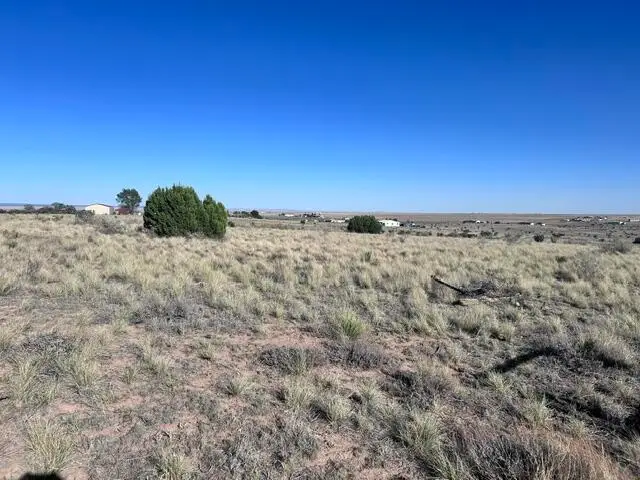 N Weimer Road, Edgewood, NM 87015 - #1