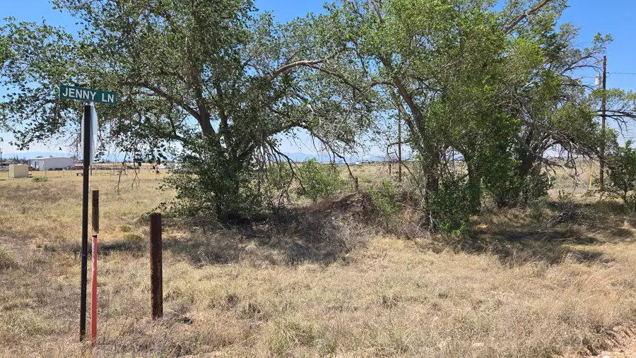 Abrahames Street, Moriarty, NM 87035 - #2