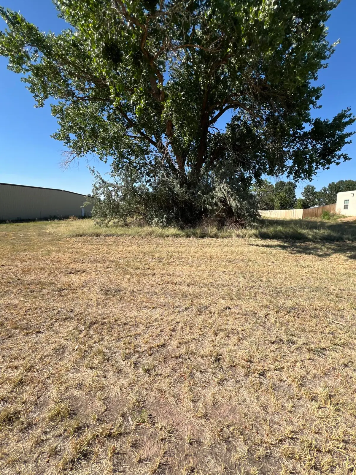 Hathaway Circle, Los Lunas, NM 87031 - #1
