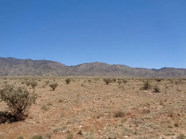 Tinto Road, Belen, NM 87002 - #1