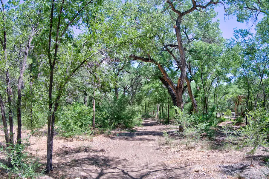 Bosque Oculto Lot B1-a, Corrales, NM 87048 - #3