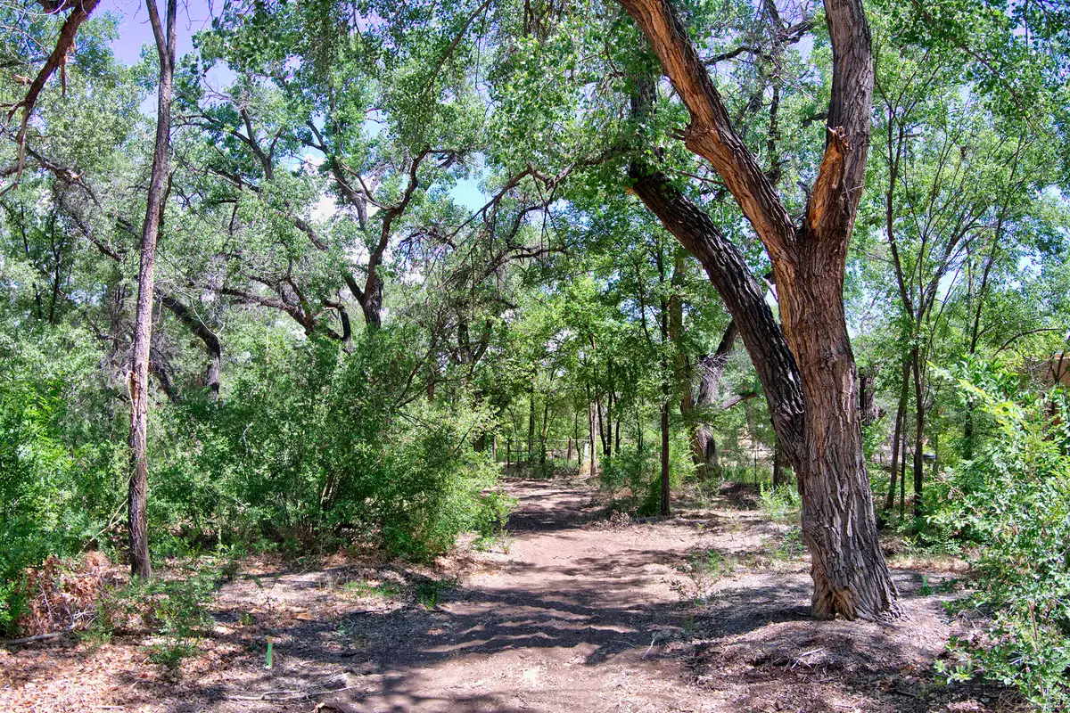 Bosque Oculto Lot B1-b, Corrales, NM 87048 - #1