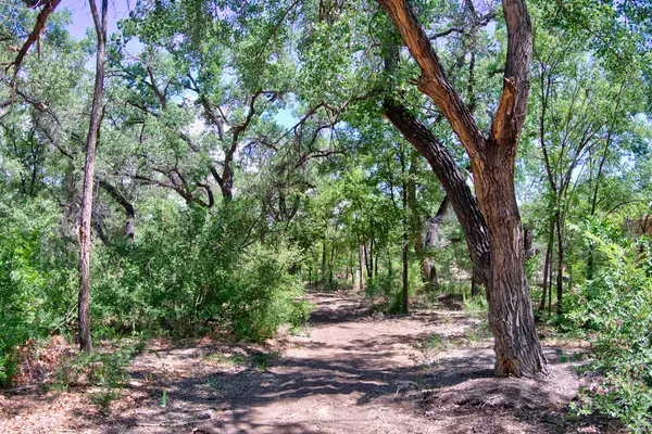 Bosque Oculto Lot B1-b, Corrales, NM 87048