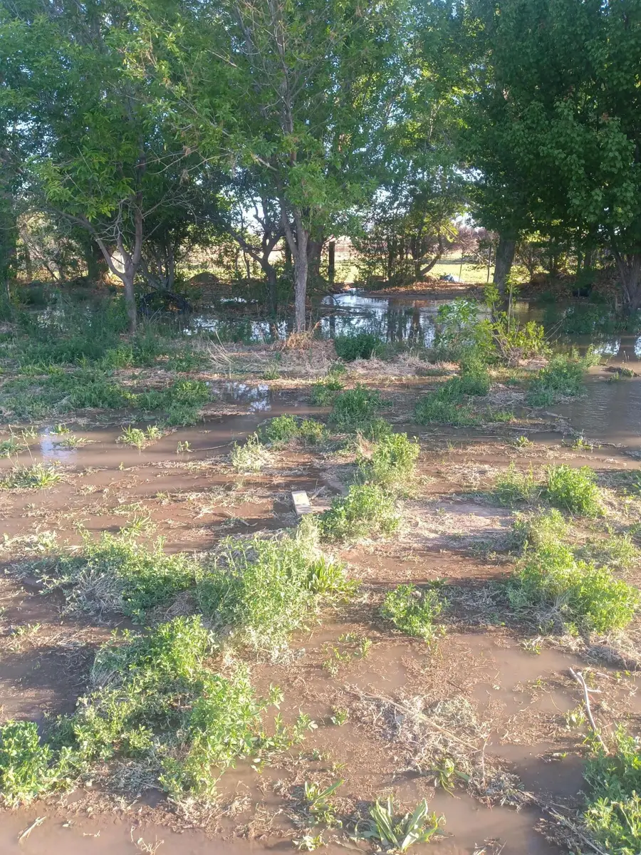 52 Ladera Road, Belen, NM 87002 - #2
