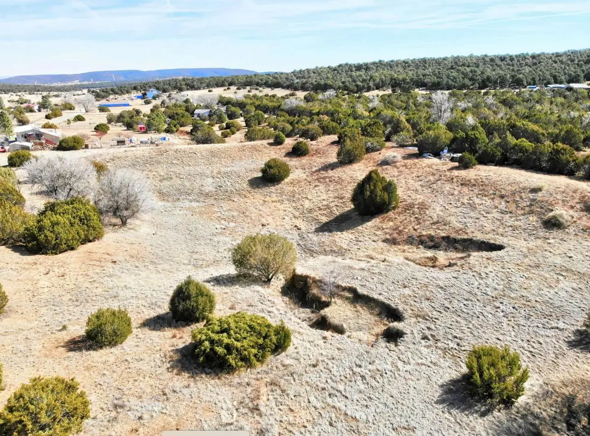 136 Brannan Road Ne, Tijeras, NM 87059 - #1