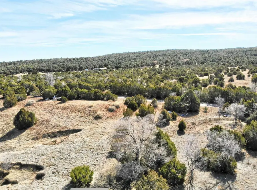 136 Brannan Road Ne, Tijeras, NM 87059 - #2