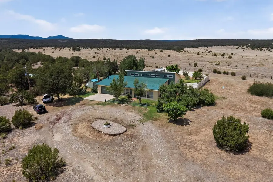 8390 State Highway 55, Torreon, NM 87061 - #3
