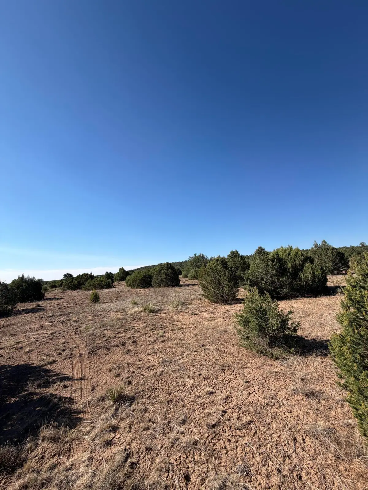 16 Tr A-1,2,3&4land Of Augustine Drive Ne, Tijeras, NM 87059 - #1