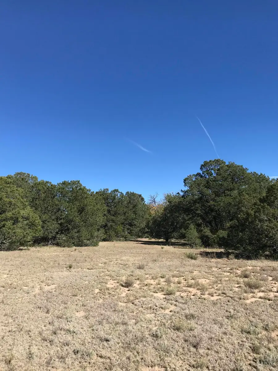 16 Tr A-1,2,3&4land Of Augustine Drive Ne, Tijeras, NM 87059 - #2