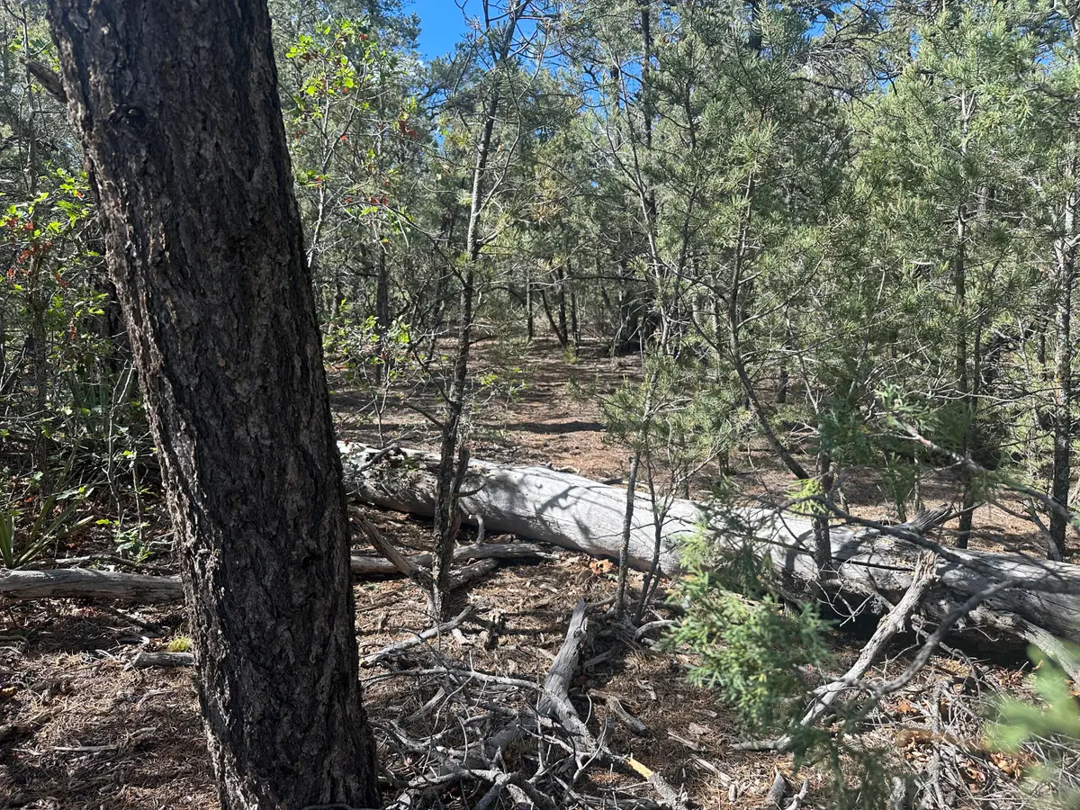 9 Camino Sombreado, Tijeras, NM 87059 - #1