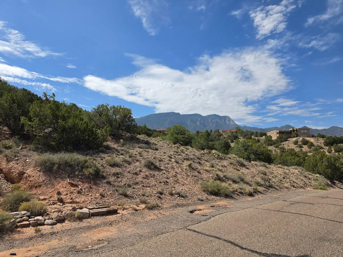 Yucca (lot 105) Lane, Placitas, NM 87043 - #1