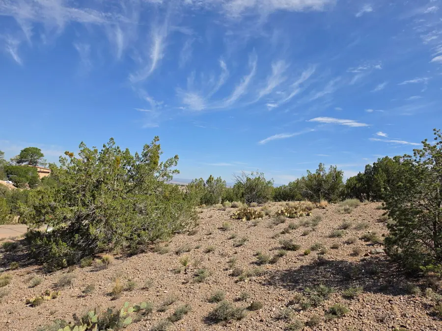 Yucca (lot 105) Lane, Placitas, NM 87043 - #3