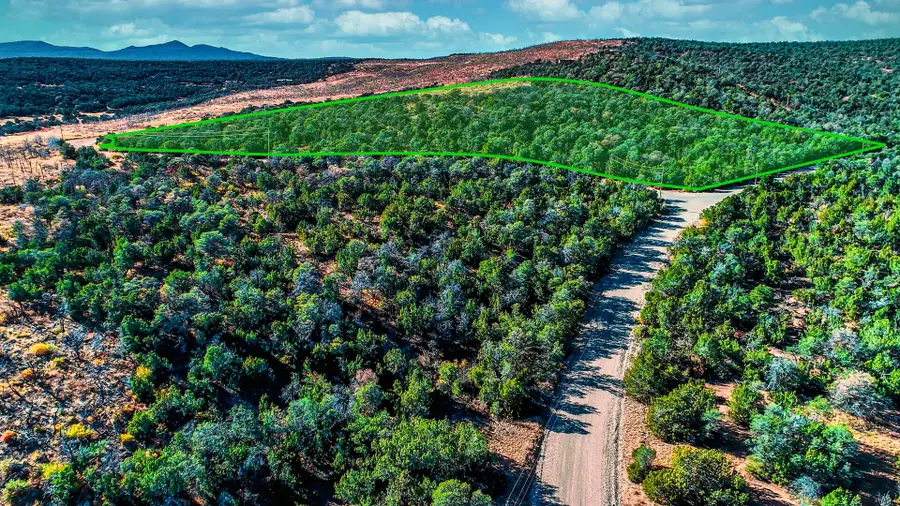 29 Twin Peak Drive, Estancia, NM 87016 - #2