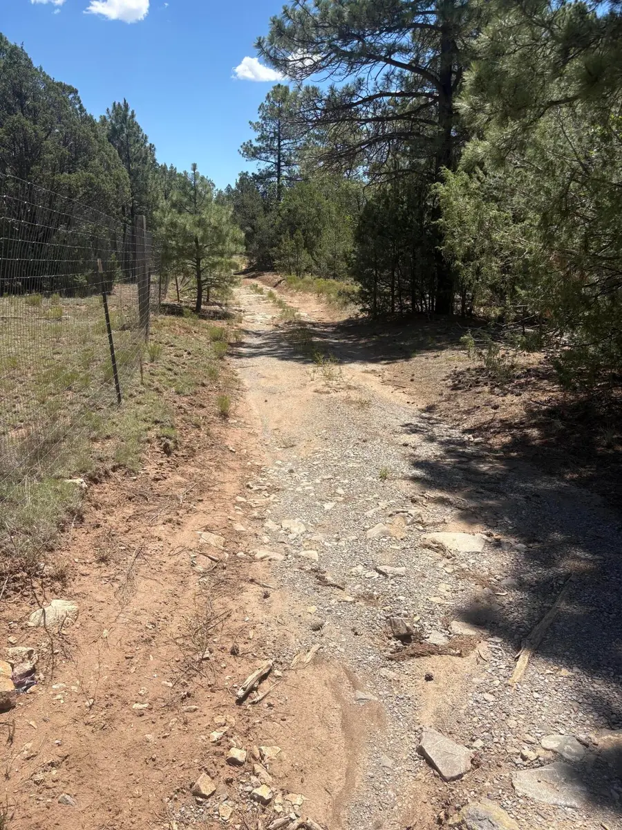 31 Armin Road, Tijeras, NM 87059 - #2