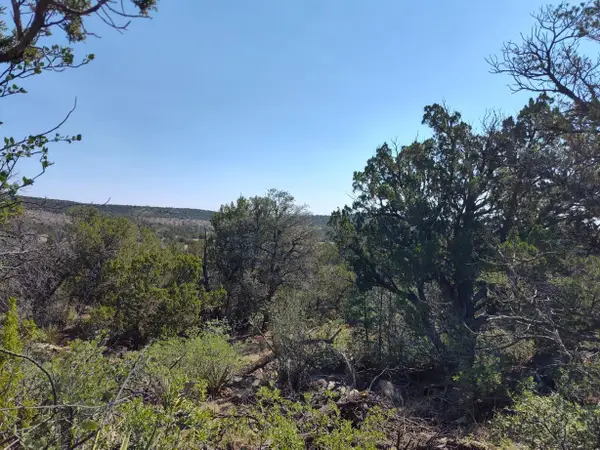 Apple Mountain Rd, Tajique, NM 87016