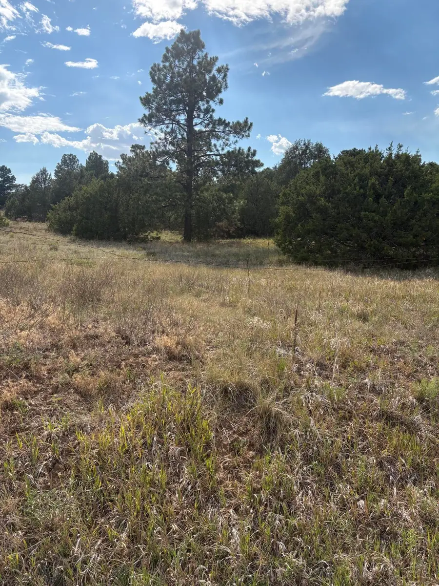 11 Eagle Lane, Tijeras, NM 87059 - #2