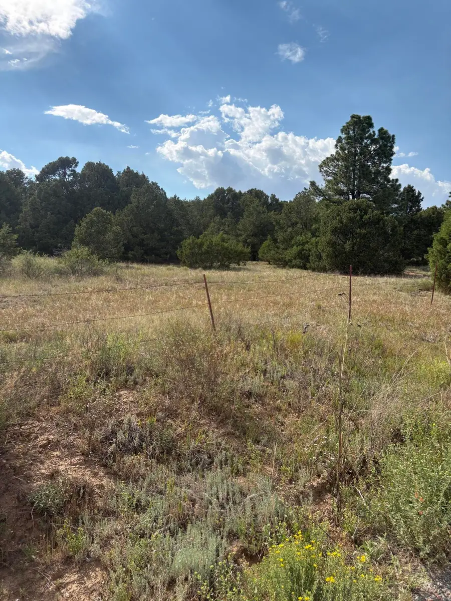 11 Eagle Lane, Tijeras, NM 87059 - #3