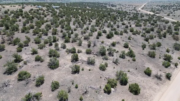 Omega Road #LOT 24, Quemado, NM 87829