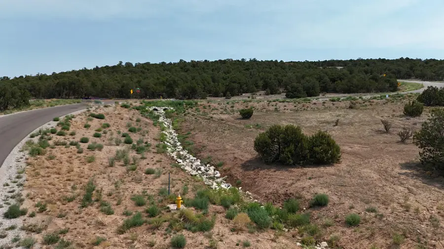 4 Caleb Court, Tijeras, NM 87059 - #3