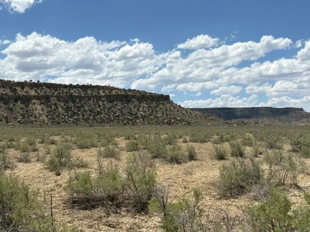 County Road 1, Gallup, NM 87301 - #1
