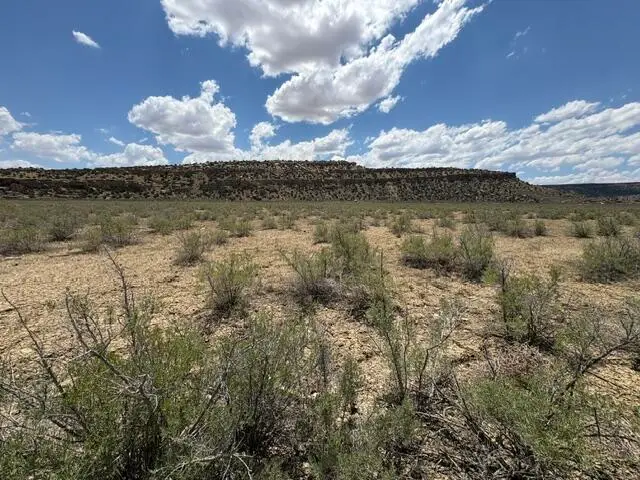 County Road 1, Gallup, NM 87301 - #3