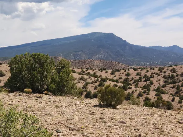Camino Halcon, Placitas, NM 87043