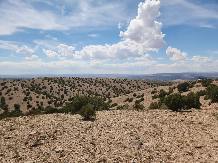 Camino Halcon, Placitas, NM 87043 - #2