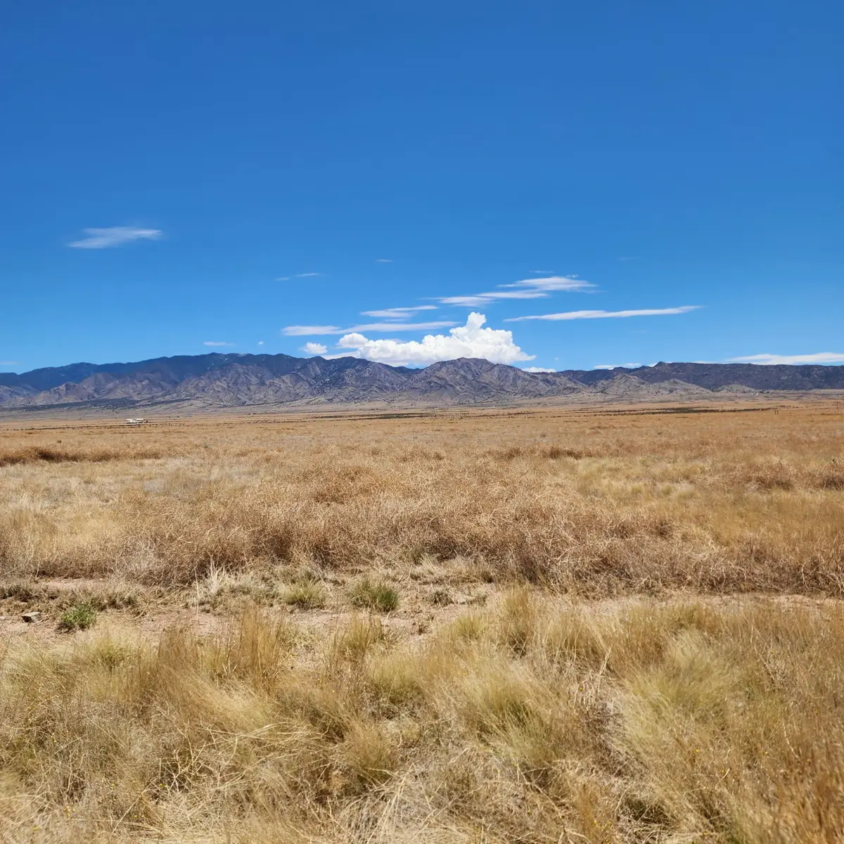 Tierra Grande Loop #21, Rio Communities, NM 87002 - #1