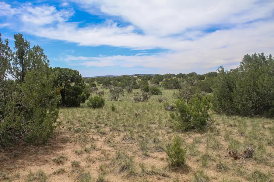 19 Neighborly Way, Edgewood, NM 87015 - #3
