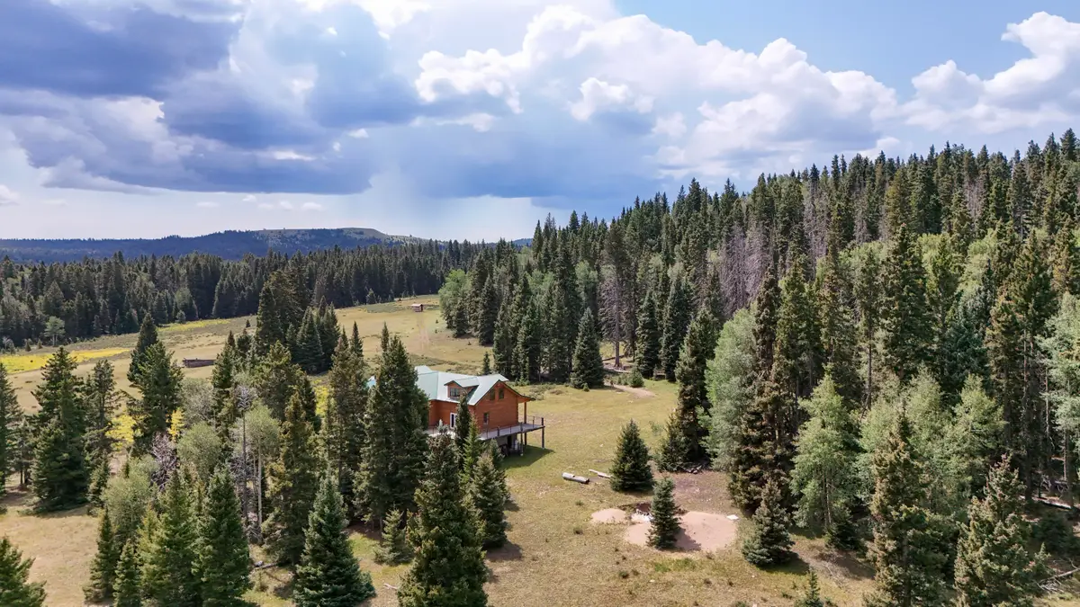 TBD Usfs Road 93, Tres Piedras, NM 87577 - #1