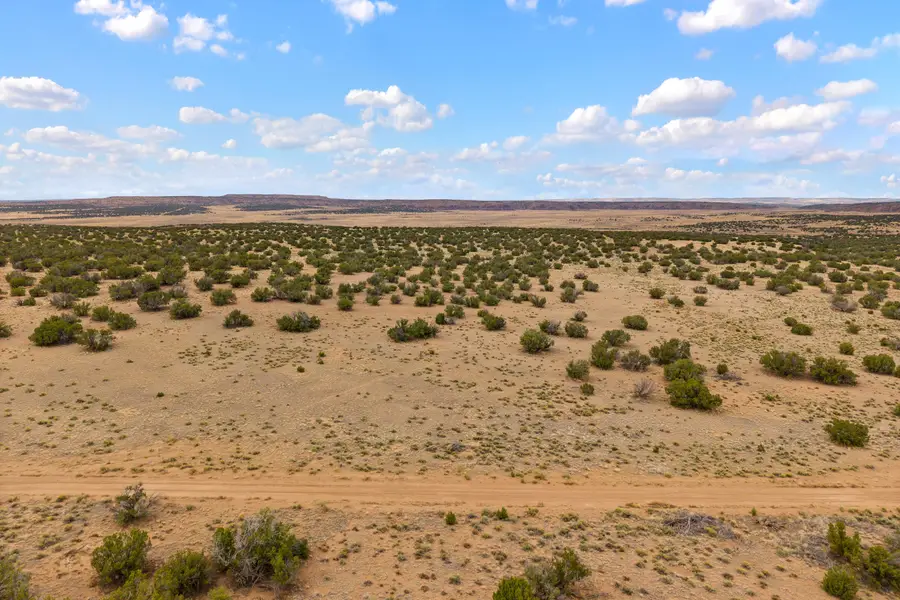 Lot 2 St Johns Rd, Quemado, NM 87829 - #2