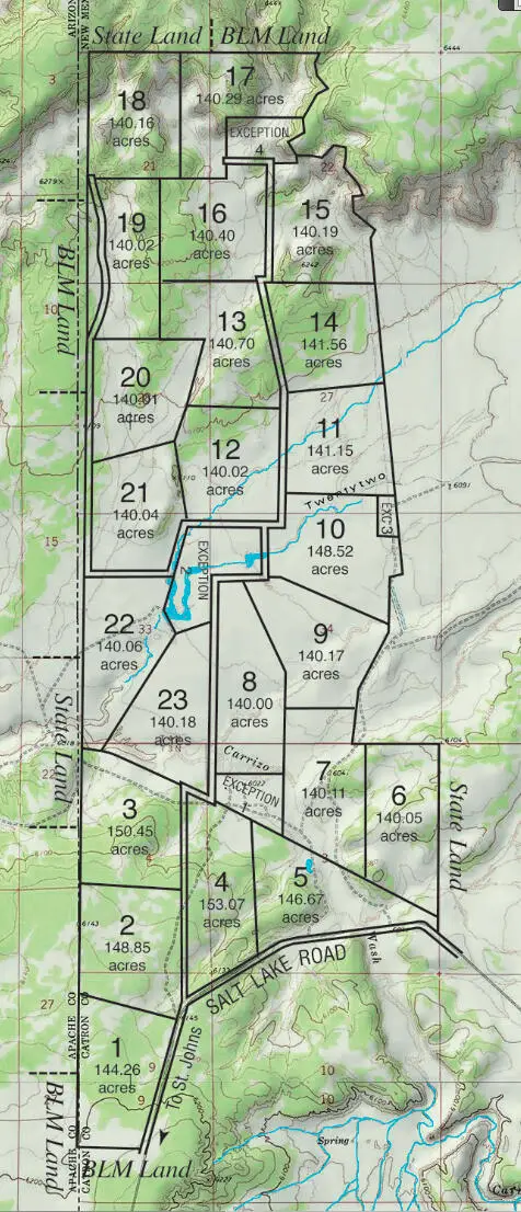 Lot 2 St Johns Rd, Quemado, NM 87829 - #3