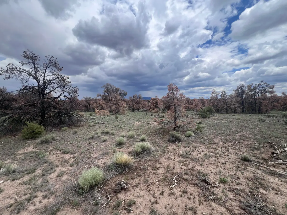 LOT 57 Fountain Hills Rd, Quemado, NM 87829 - #1