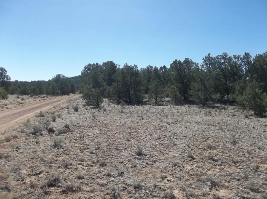 10 Camino De Fusilero Road, Ramah, NM 87321 - #3