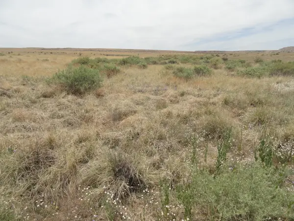 Canyon, Laguna, NM 87026