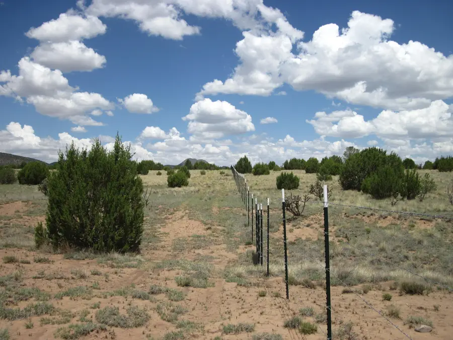 975 Nm-344, Edgewood, NM 87015 - #2