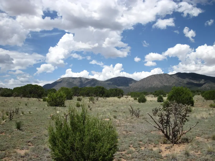 975 Nm-344, Edgewood, NM 87015 - #3