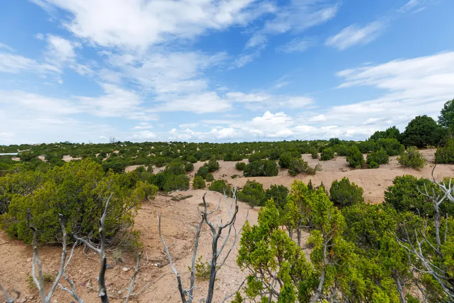 3339 W Alameda Street, Santa Fe, NM 87501 - #3