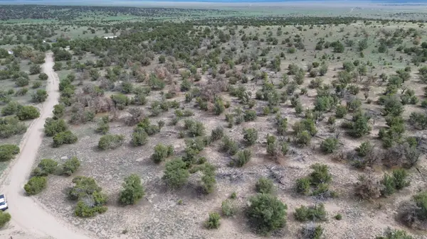 LOT 20 Horseshoe Cir, Quemado, NM 87829
