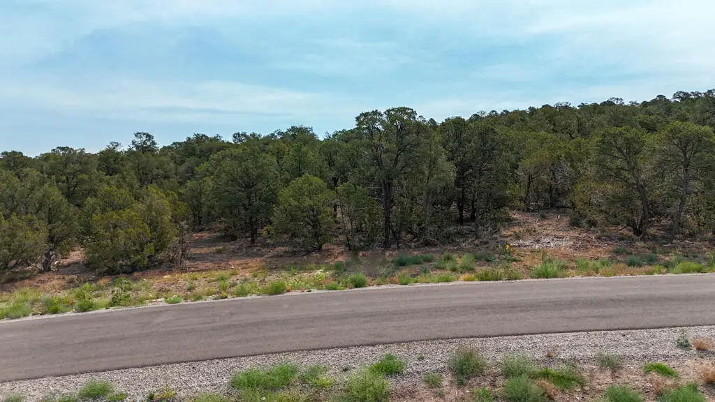 7 Magnify Court, Tijeras, NM 87059 - #1
