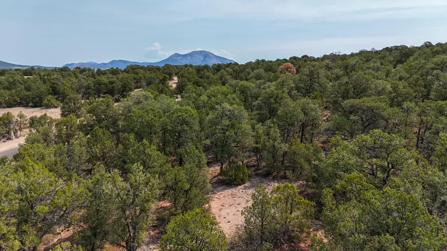 7 Magnify Court, Tijeras, NM 87059 - #2