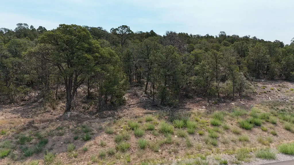 132 Prestige Drive, Tijeras, NM 87059 - #1