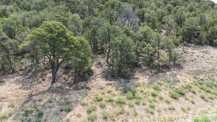 132 Prestige Drive, Tijeras, NM 87059 - #2