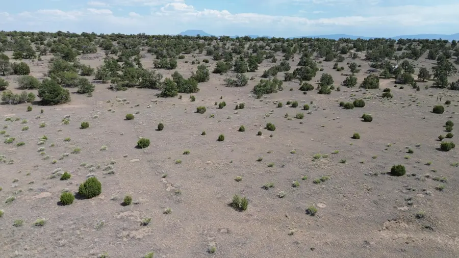 LOT 103 Tee Pee Trl, Quemado, NM 87829 - #2