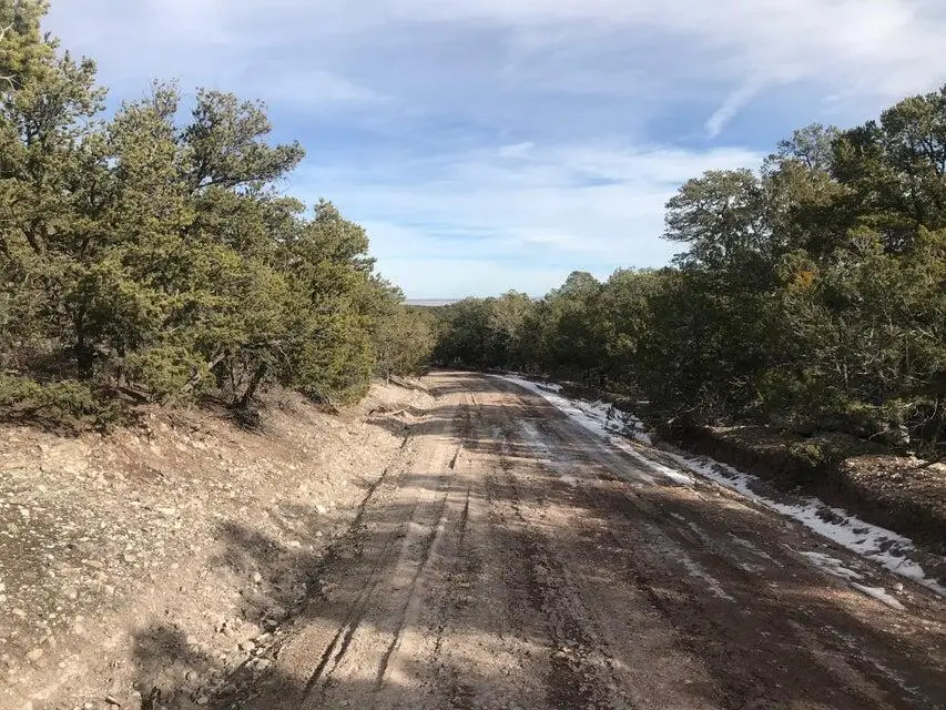 6 Vista Alta Drive, Tijeras, NM 87059 - #2