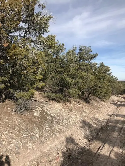 6 Vista Alta Drive, Tijeras, NM 87059 - #3