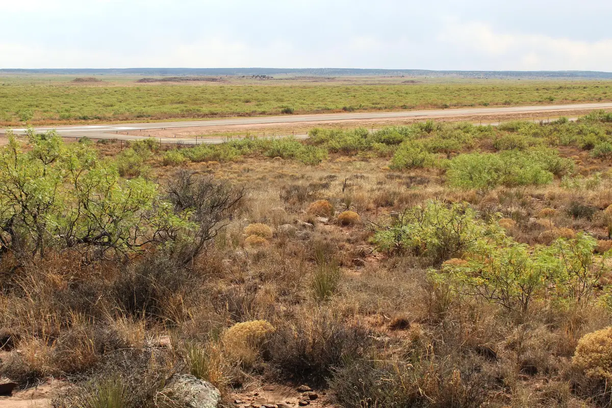 Lots 25-26 Nickel Lane, Conchas Dam, NM 88416 - #1